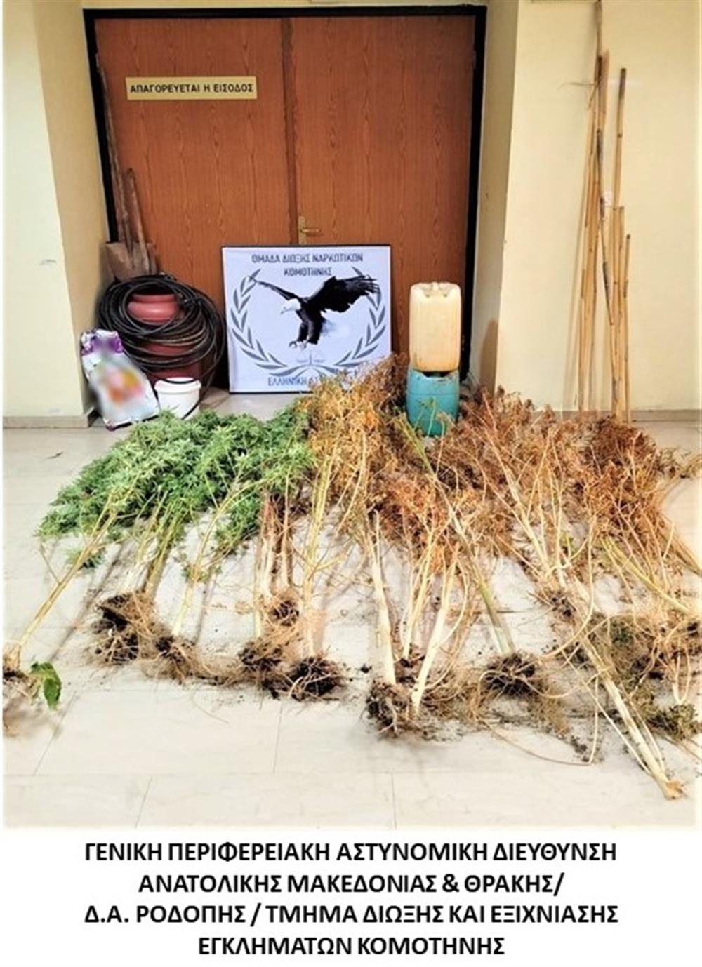 Κάνναβη Καβαλα Αστυνομία