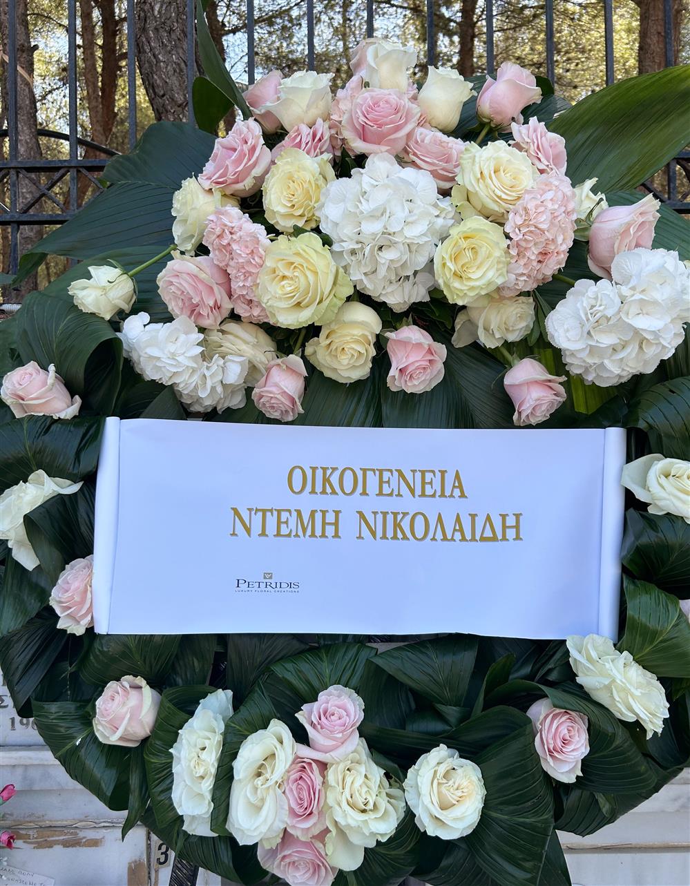 Ντέμης Νικολαΐδης