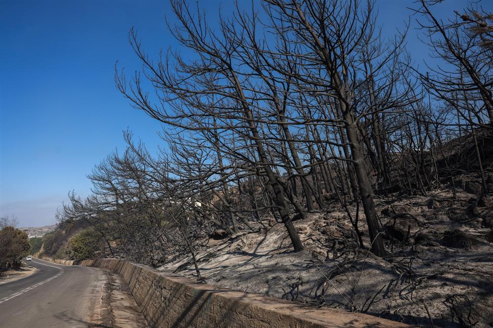 Ιεράπετρα - φωτιά - 2η μέρα Ιεράπετρα - φωτιά - 2η μέρα
