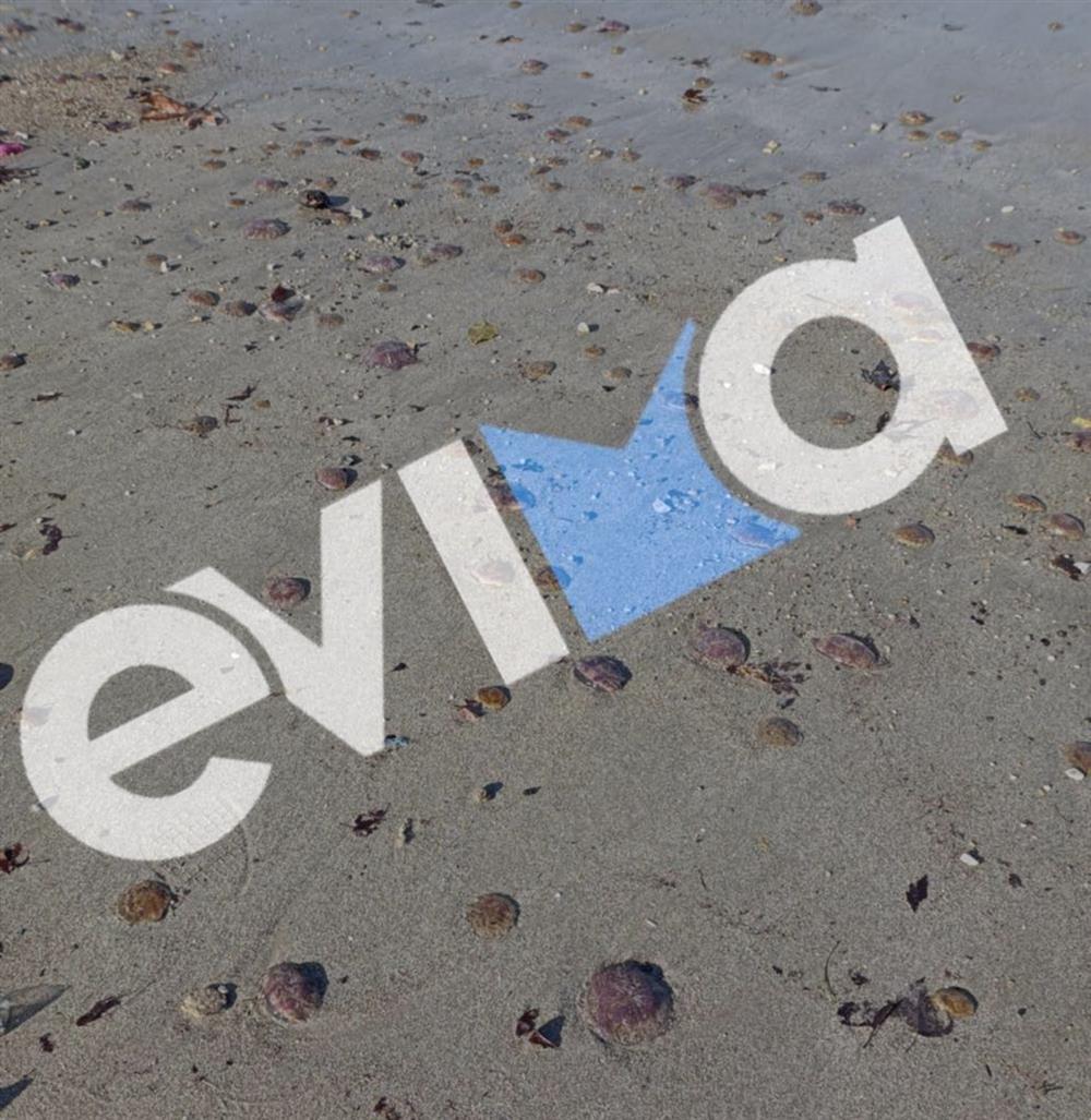 Μωβ - Μέδουσες - Παραλία - Εύβοιας Μωβ - Μέδουσες - Παραλία - Εύβοιας