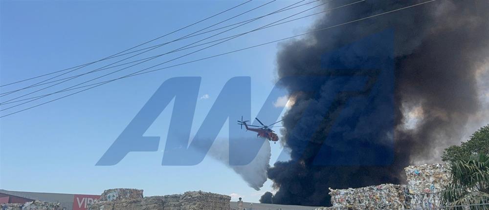 Φωτιά στη Σίνδο