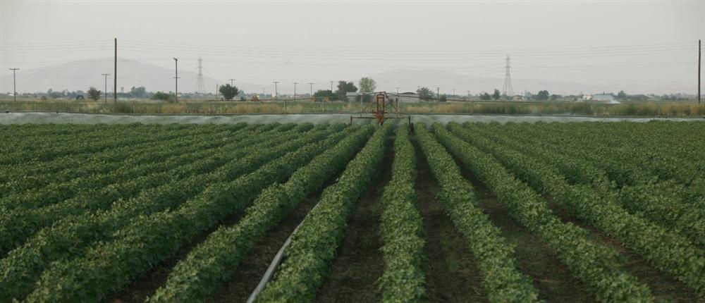Αγρότες - Καλλιέργειες - Χωράφια - τρακτέρ