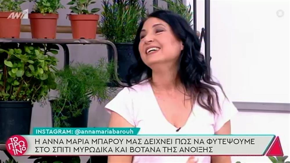 Μυρωδικά και βότανα της άνοιξης – Το Πρωινό – 01/04/2021