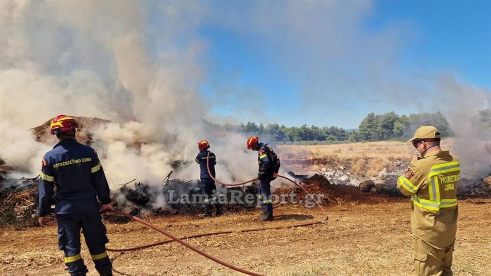 Φθιώτιδα - φωτιά - σκουπίδια Φθιώτιδα - φωτιά - σκουπίδια
