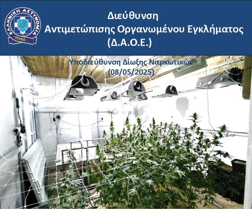 Αστυνομία - κάνναβη - ναρκωτικά