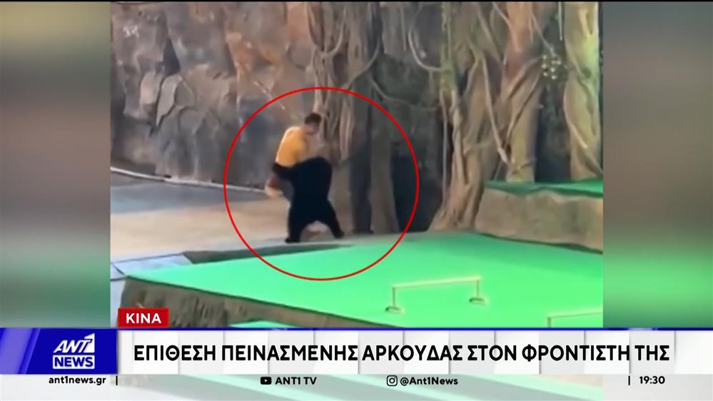 Κίνα: Επίθεση πεινασμένης αρκούδας στον φροντιστή της