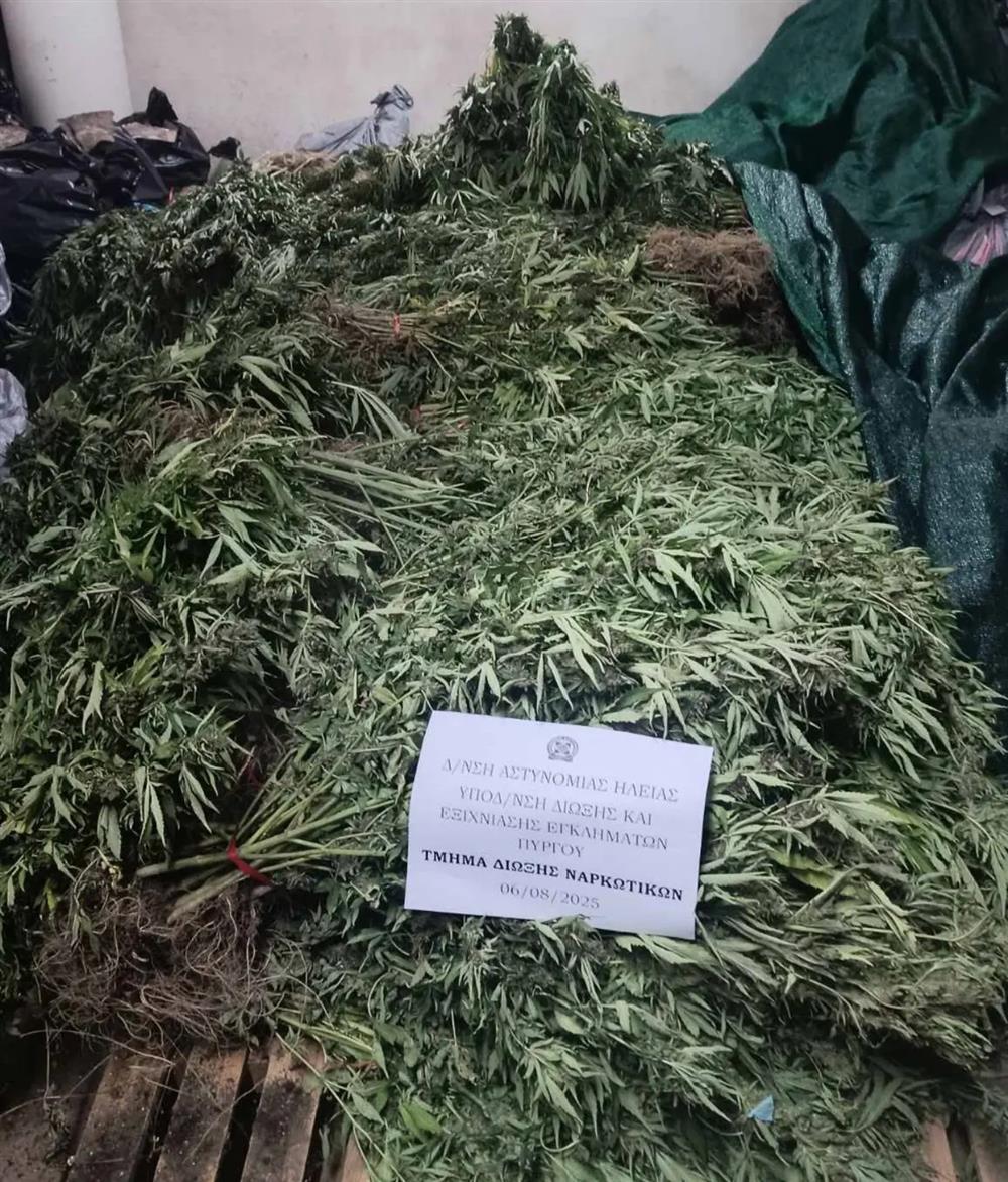 ΑΙΤΩΛΟΑΚΑΡΝΑΝΙΑ - ΝΑΡΚΩΤΙΚΑ