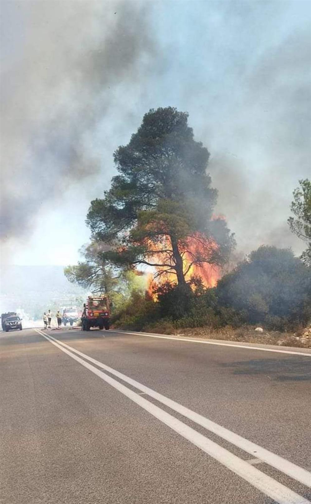 Φωτιά - Σοφικό Κορινθίας