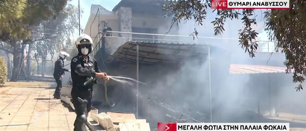 Φωτιά στην Παλαιά Φώκαια: Οι φλόγες έφτασαν στα σπίτια