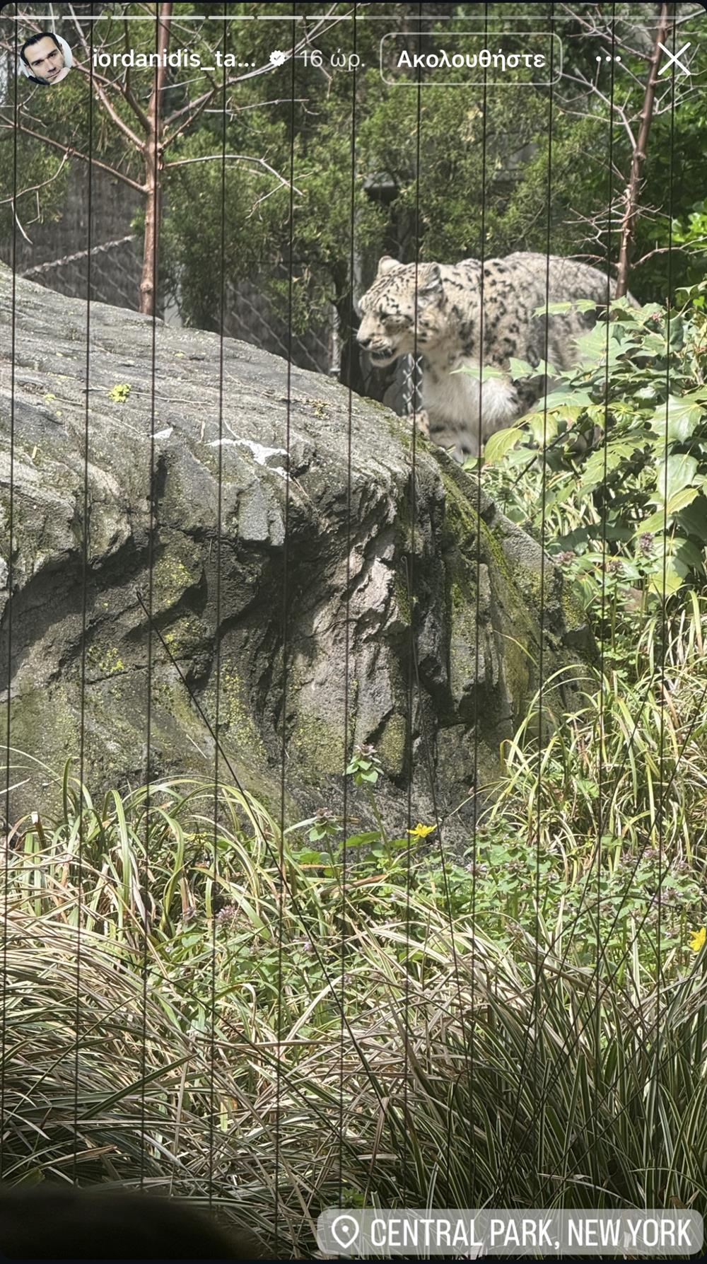 Ιορδανίδης