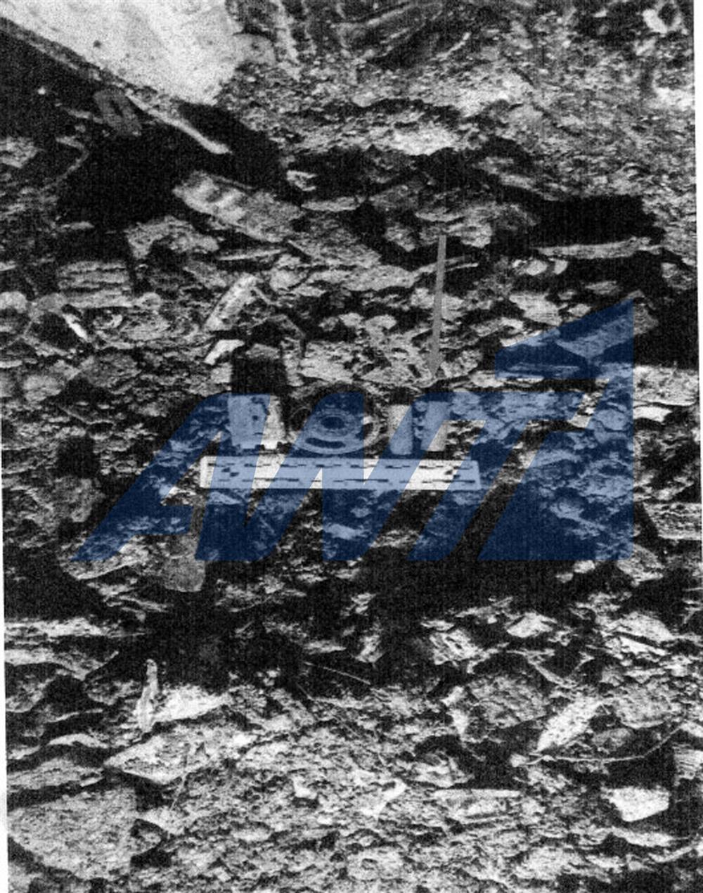 Φιλιππίδης