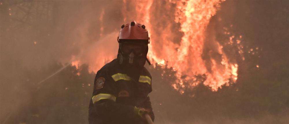 Φωτιά Ασπροχώρι - Ωρωπού