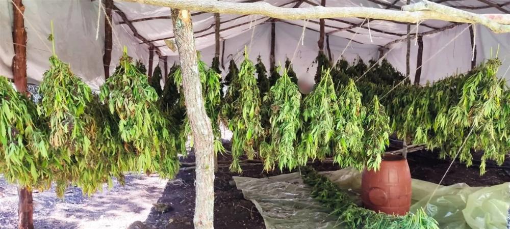 ΑΙΤΩΛΟΑΚΑΡΝΑΝΙΑ - ΝΑΡΚΩΤΙΚΑ