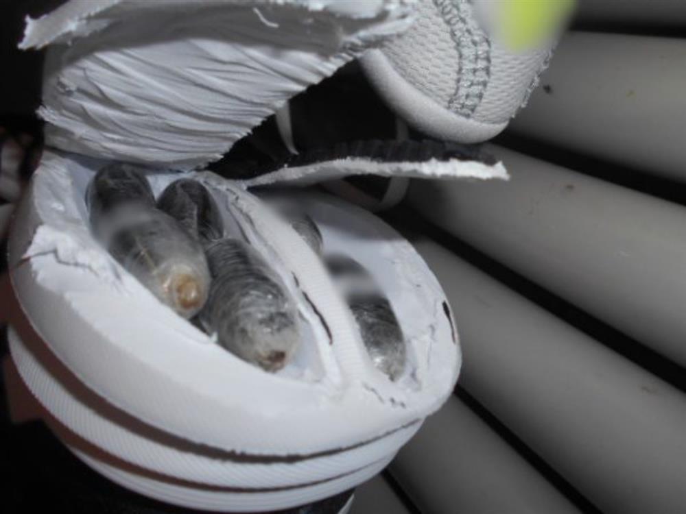 ΦΩΚΙΔΑ - ΝΑΡΚΩΤΙΚΑ - ΑΘΛΗΤΙΚΑ ΠΑΠΟΥΤΣΙΑ