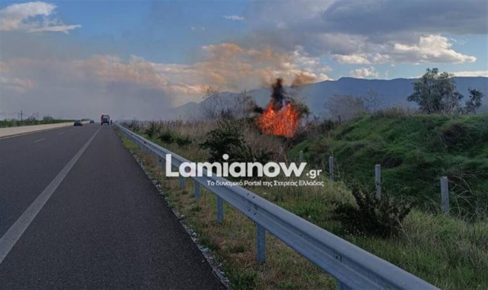 Λαμία - Φωτιά