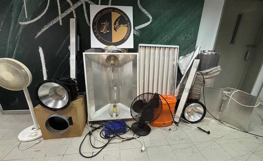 Κιάτο - κάνναβη