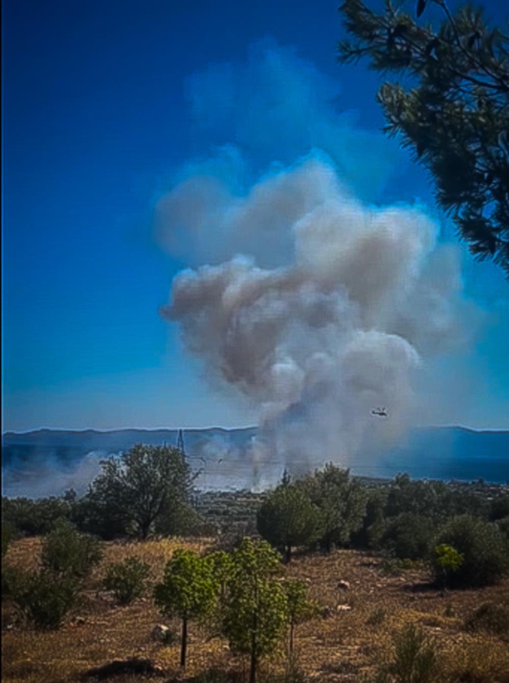 Φωτιά - Αλιβέρι