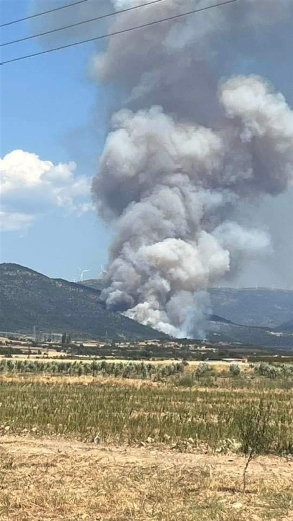 φωτια στη νεα σαντα