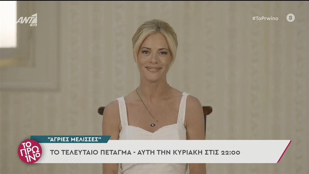 Άγριες Μέλισσες: το τελευταίο πέταγμα - Το Πρωινό - 08/07/2022