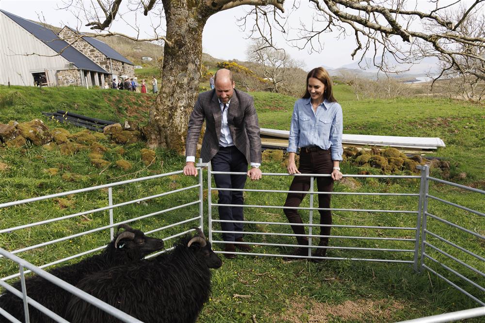 Πρίγκιπας Ουίλιαμ Πρίγκιπας Ουίλιαμ