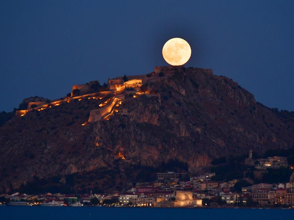 ΠΑΝΣΕΛΗΝΟΣ ΤΟΥ ΕΛΑΦΙΟΥ