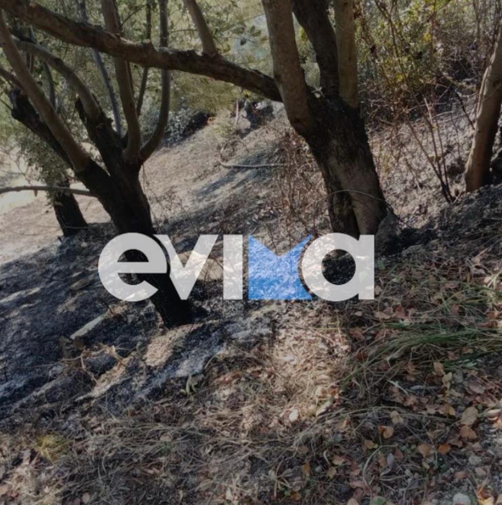 Φωτιά - Εύβοια