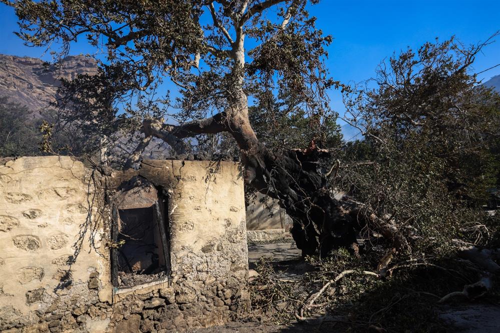 Ιεράπετρα - φωτιά - 2η μέρα Ιεράπετρα - φωτιά - 2η μέρα
