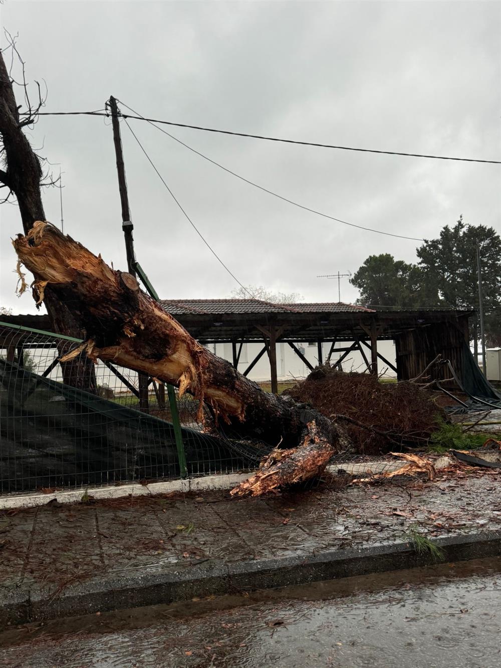 Κακοκαιρία Bora - Πλαταμώνας Κακοκαιρία Bora - Πλαταμώνας