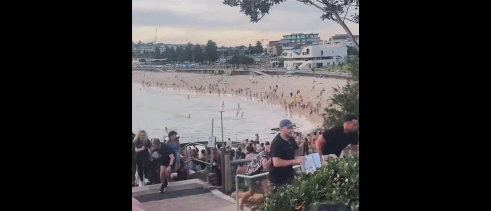 Μακελειό στο Σίδνεϊ: Τουλάχιστον 10 νεκροί έπειτα από πυροβολισμούς στην παραλία Μπόνταϊ (βίντεο)