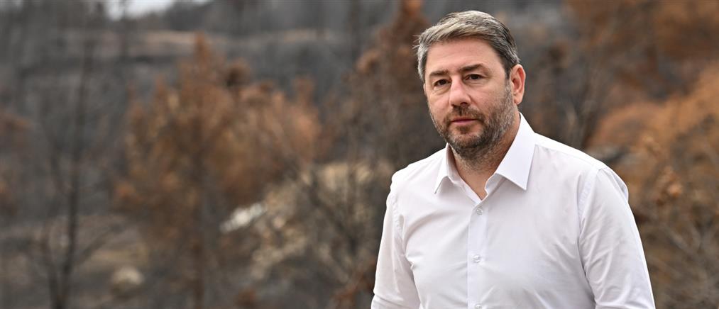 Ανδρουλάκης: Είμαστε όλοι συγκλονισμένοι από το τρομακτικό τροχαίο στη Ρουμανία με νεκρούς Έλληνες φιλάθλους