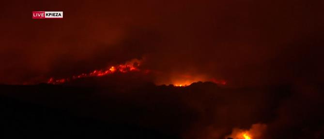 "Οσμή σκανδάλου" ΟΠΕΚΕΠΕ στην Εύβοια: Ψάχνουν πού πήγαν 6,5 εκατ. ευρώ