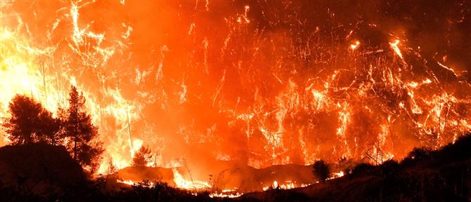 Φωτιά στο Ξυλόκαστρο: Το “παιχνίδι” της μοίρας και ο θρήνος για τους άνδρες που άφησαν ορφανά τα ανήλικα παιδιά τους