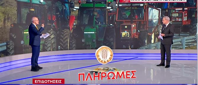 Αγροτικές επιδοτήσεις - Τέλλογλου: Έτσι "κόπηκαν" χιλιάδες αγρότες