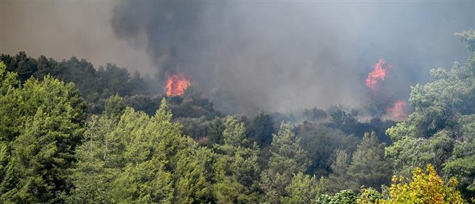 Κρήτη: Φωτιά στα Χανιά