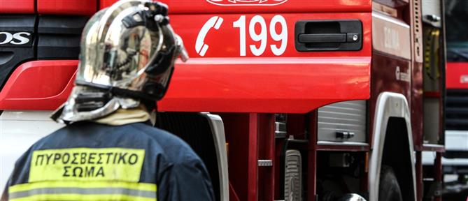 Παρ' ολίγον τραγωδία - Τρίχρονο αγοράκι έπεσε μέσα σε βόθρο (Βίντεο)