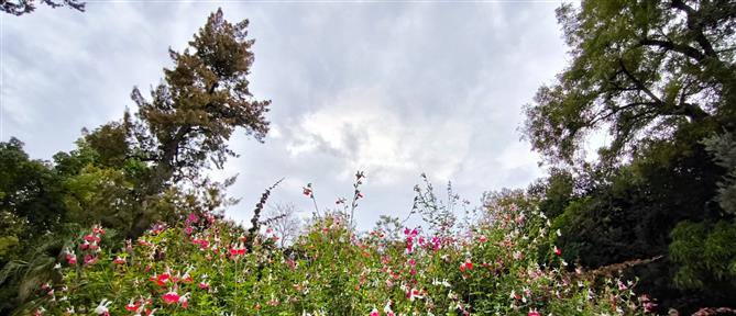 Τι καιρό θα κάνει την Κυριακή