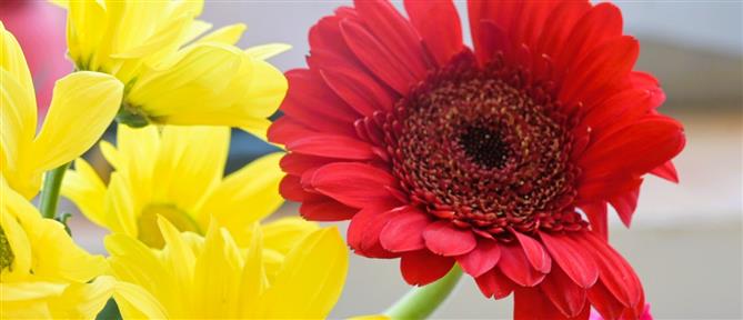 Εορτολόγιο: Ποιοι γιορτάζουν σήμερα 13 Δεκεμβρίου