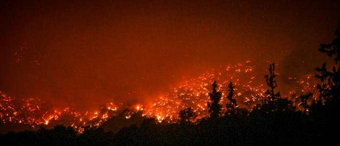 Φωτιές: Πολύ υψηλός κίνδυνος πυρκαγιάς σε μία Περιφέρεια την Δευτέρα (χάρτης)