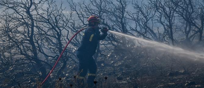 Ηλεία: Σύλληψη άνδρα που έβαλε φωτιά σε οικόπεδο