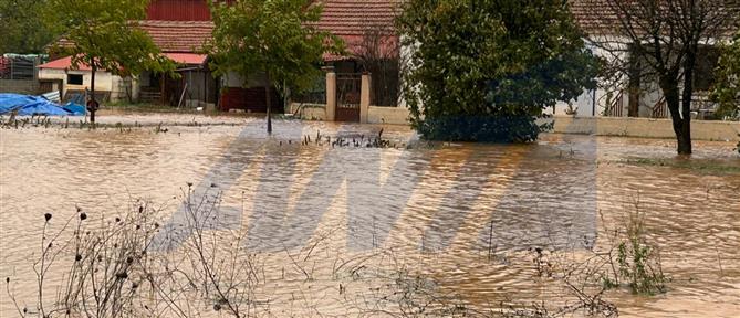 Φάρσαλα: Έκτακτη ειδοποίηση 112 για υπερχείλιση του ποταμού Ενιπέα (εικόνες)